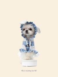 Blue & White Color-Block Pet Hooded Dress