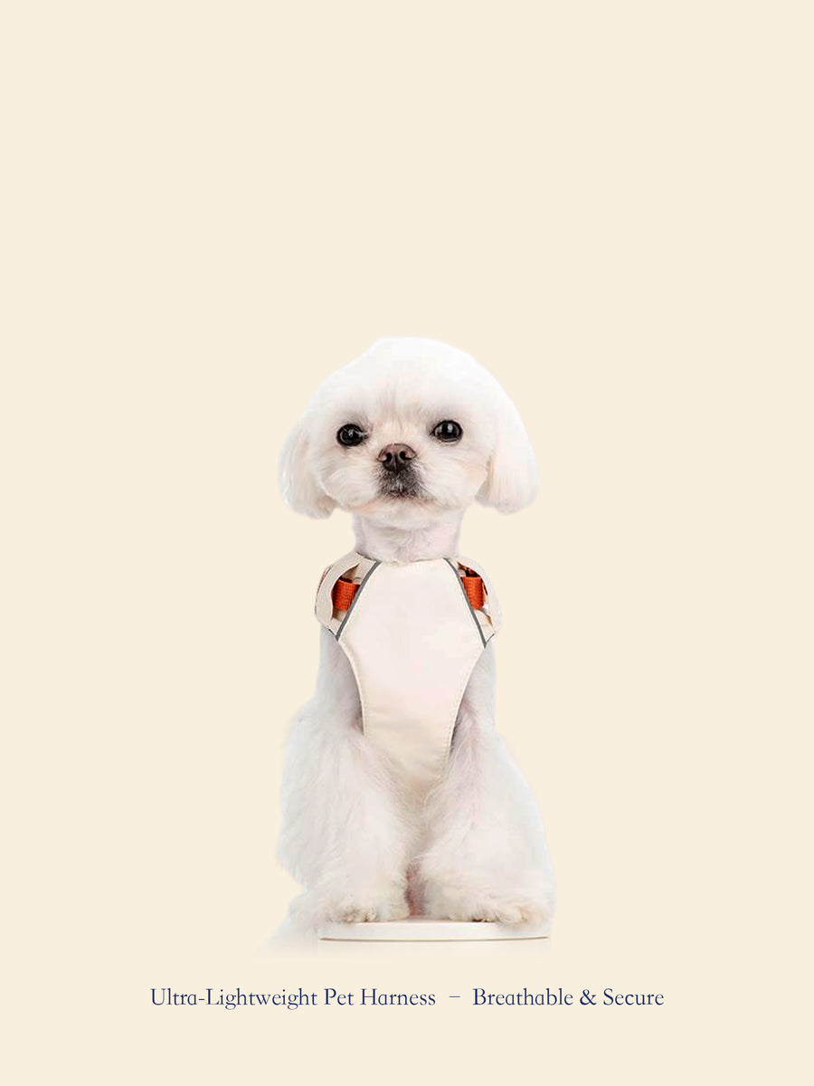 Ultra-Lightweight Outdoor Dog Harness
