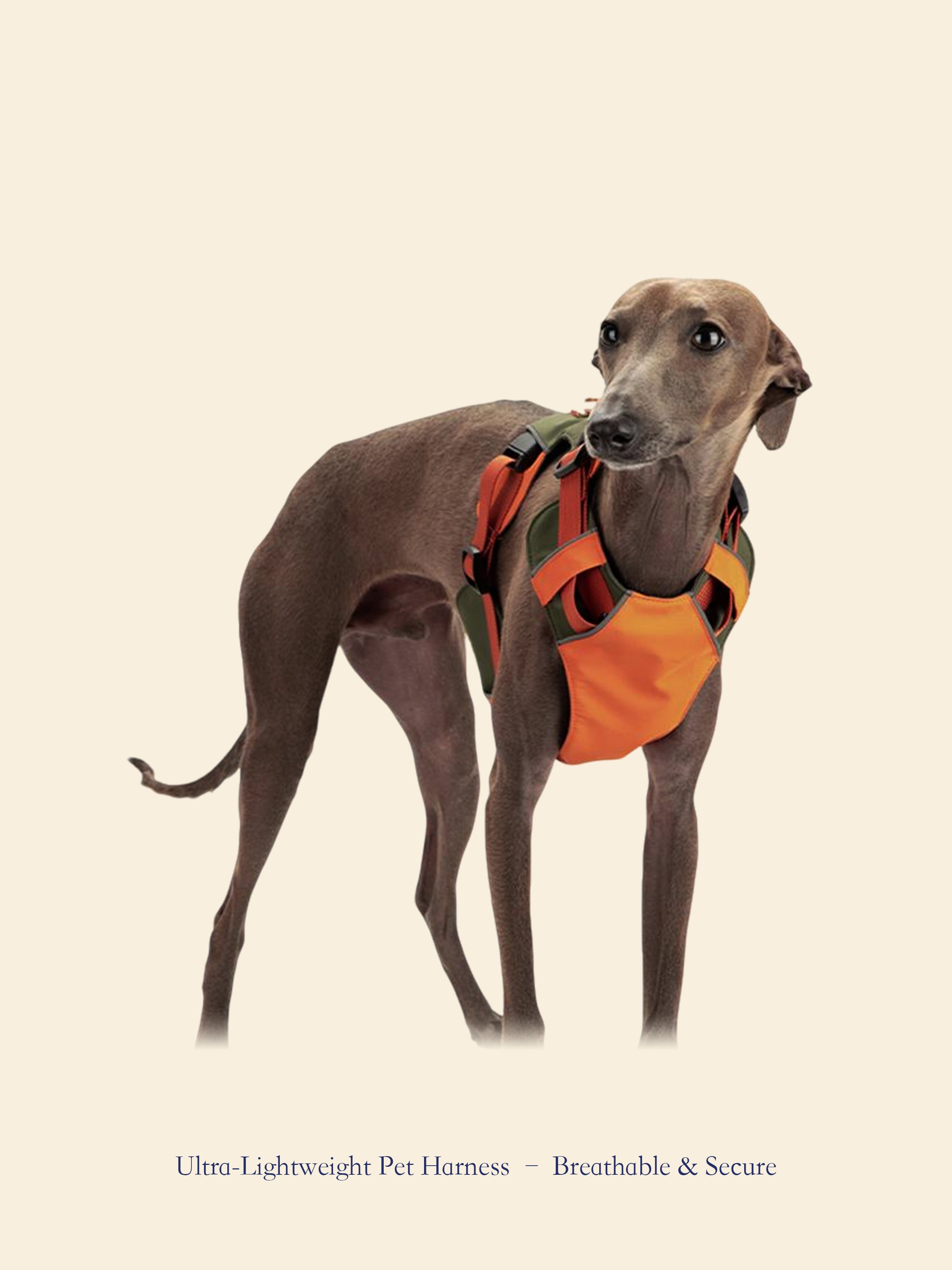 Ultra-Lightweight Outdoor Dog Harness