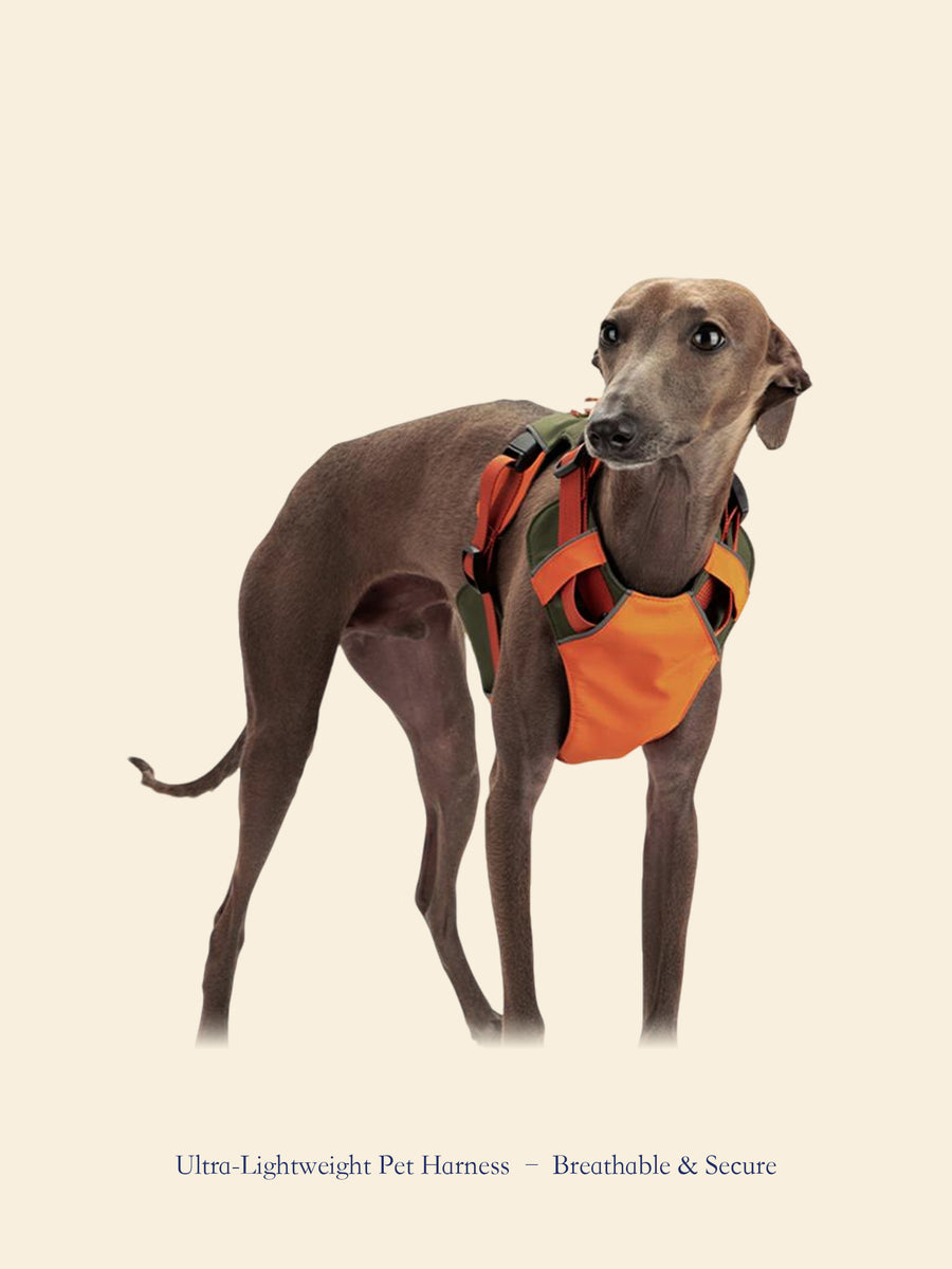 Ultra-Lightweight Outdoor Dog Harness