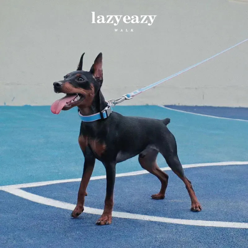 Adjustable Nylon Pet Collar & Leash Set