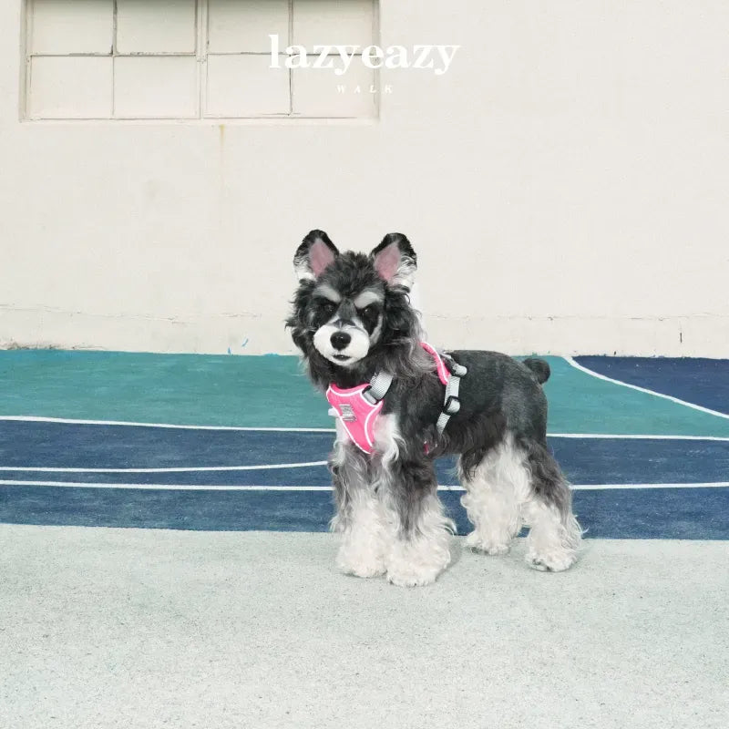 Adjustable Nylon Pet Harness