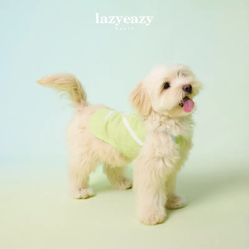 Summer Tassel Pet Camisole