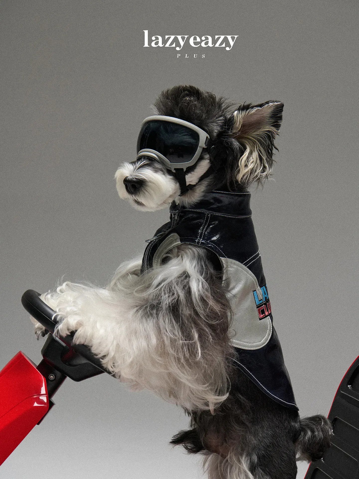 Racing-Style Embroidered Faux-Leather Pet Vest