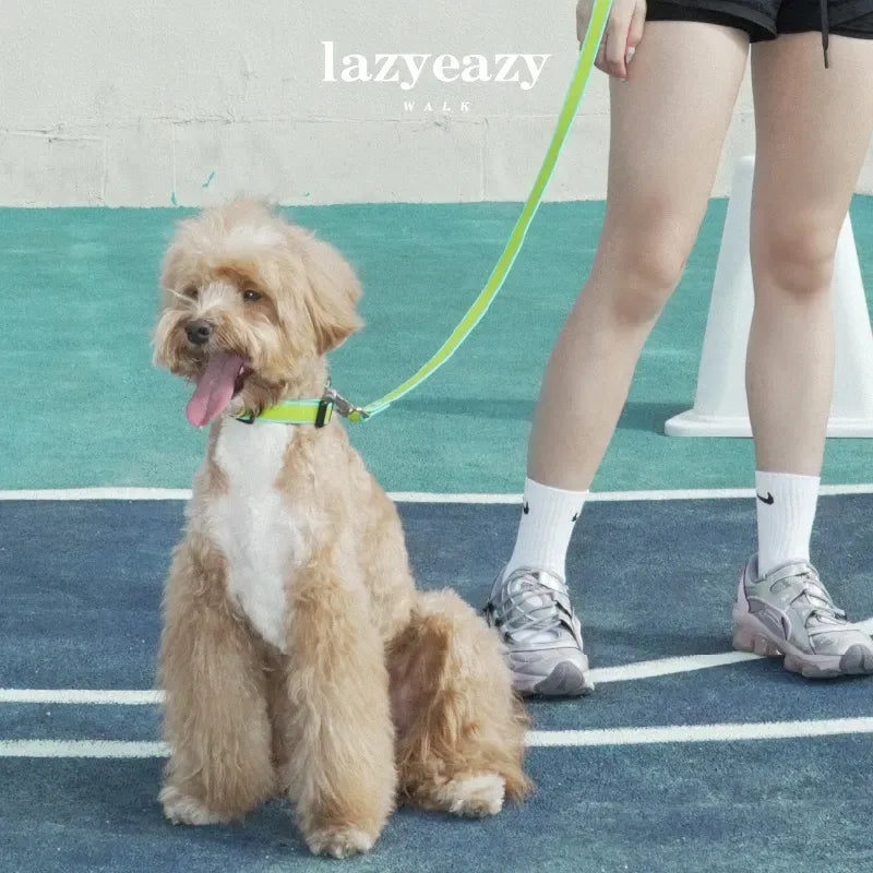 Adjustable Nylon Pet Collar & Leash Set