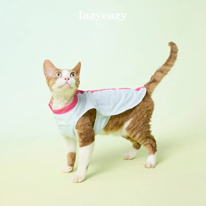 Cooling Color-Block Pet Vest