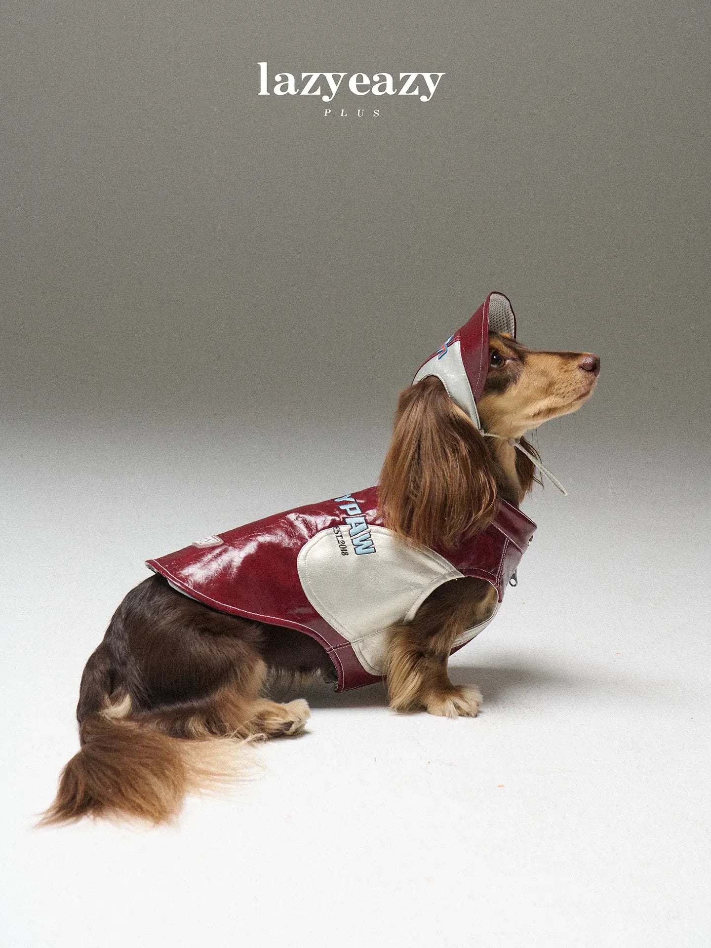 Racing-Style Embroidered Faux-Leather Pet Vest