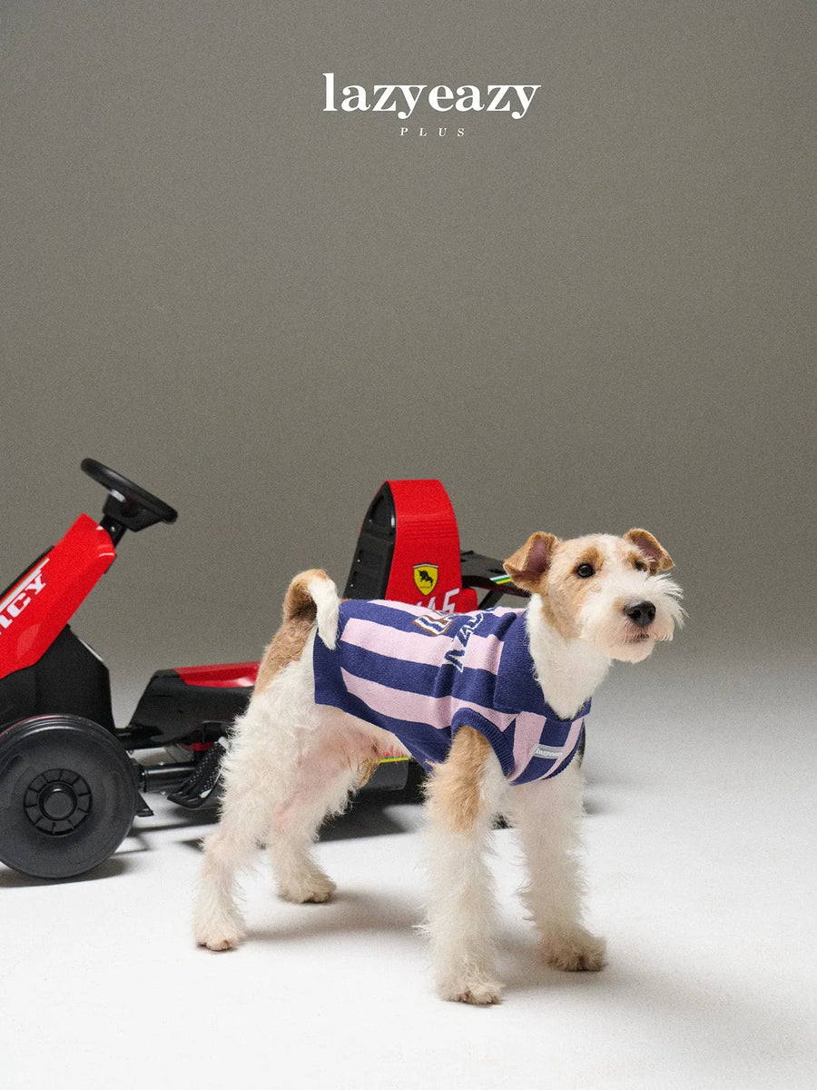 Striped Sports Knit Pet Sweater