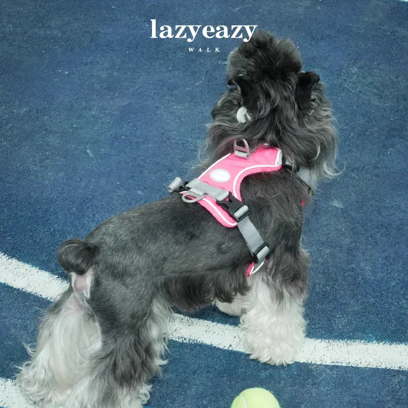 Adjustable Nylon Pet Harness