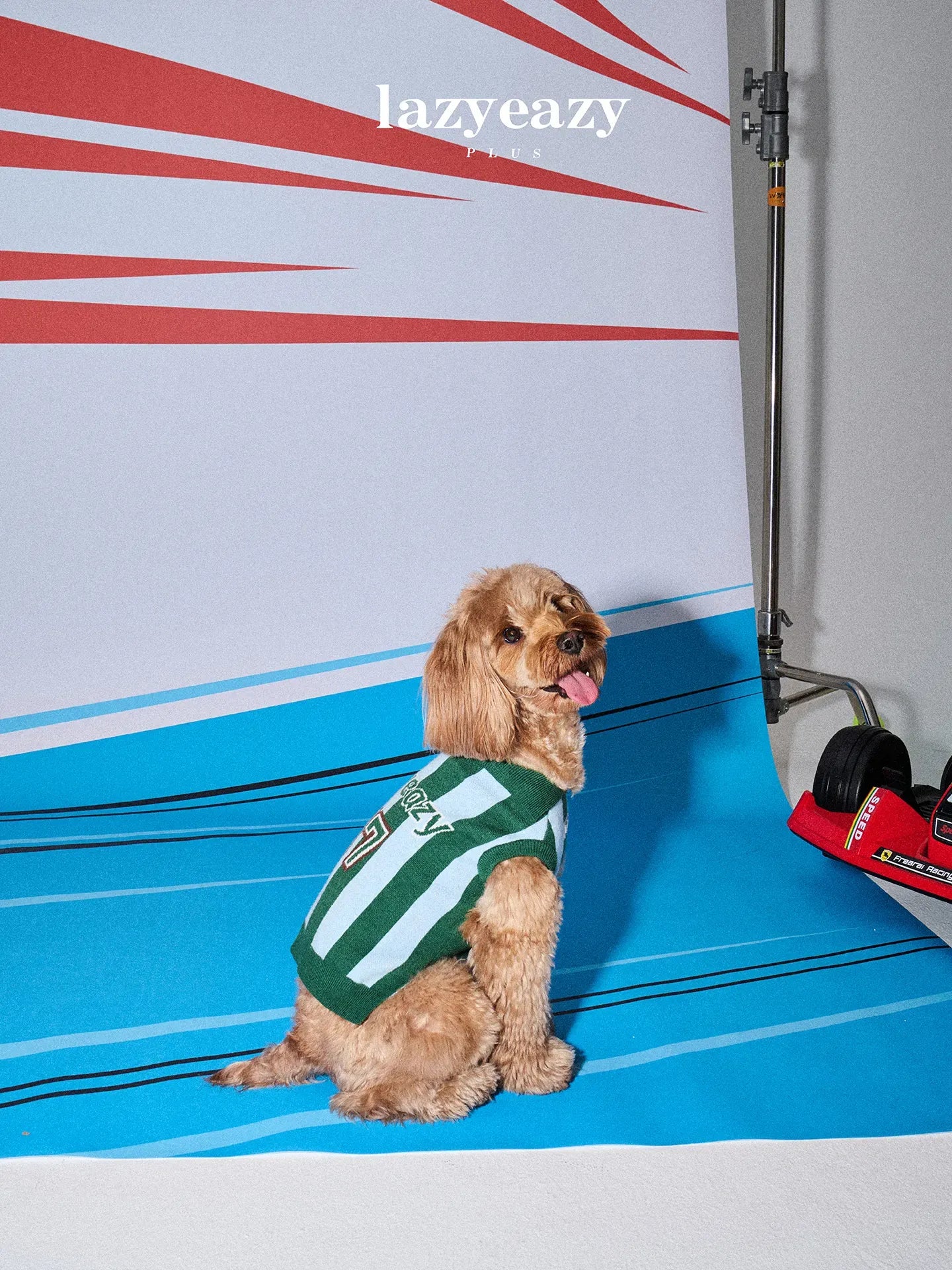 Striped Sports Knit Pet Sweater