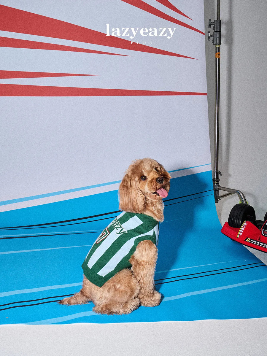 Striped Sports Knit Pet Sweater