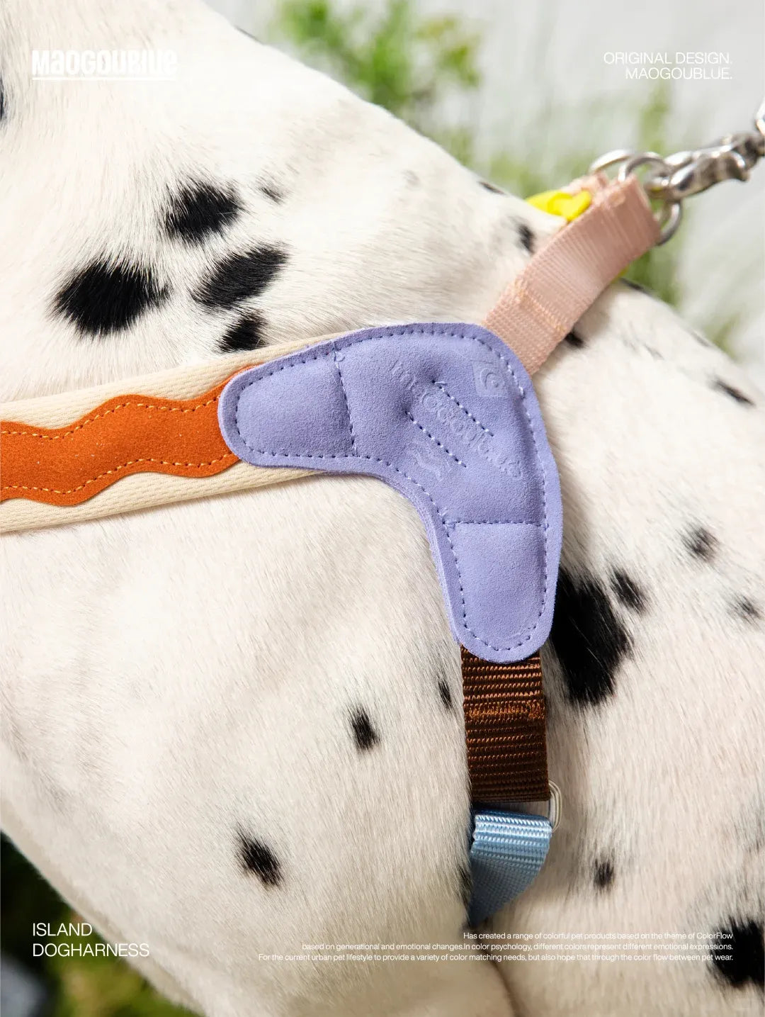 Adjustable No-Pull Escape-Proof Harness for Small & Medium Dogs