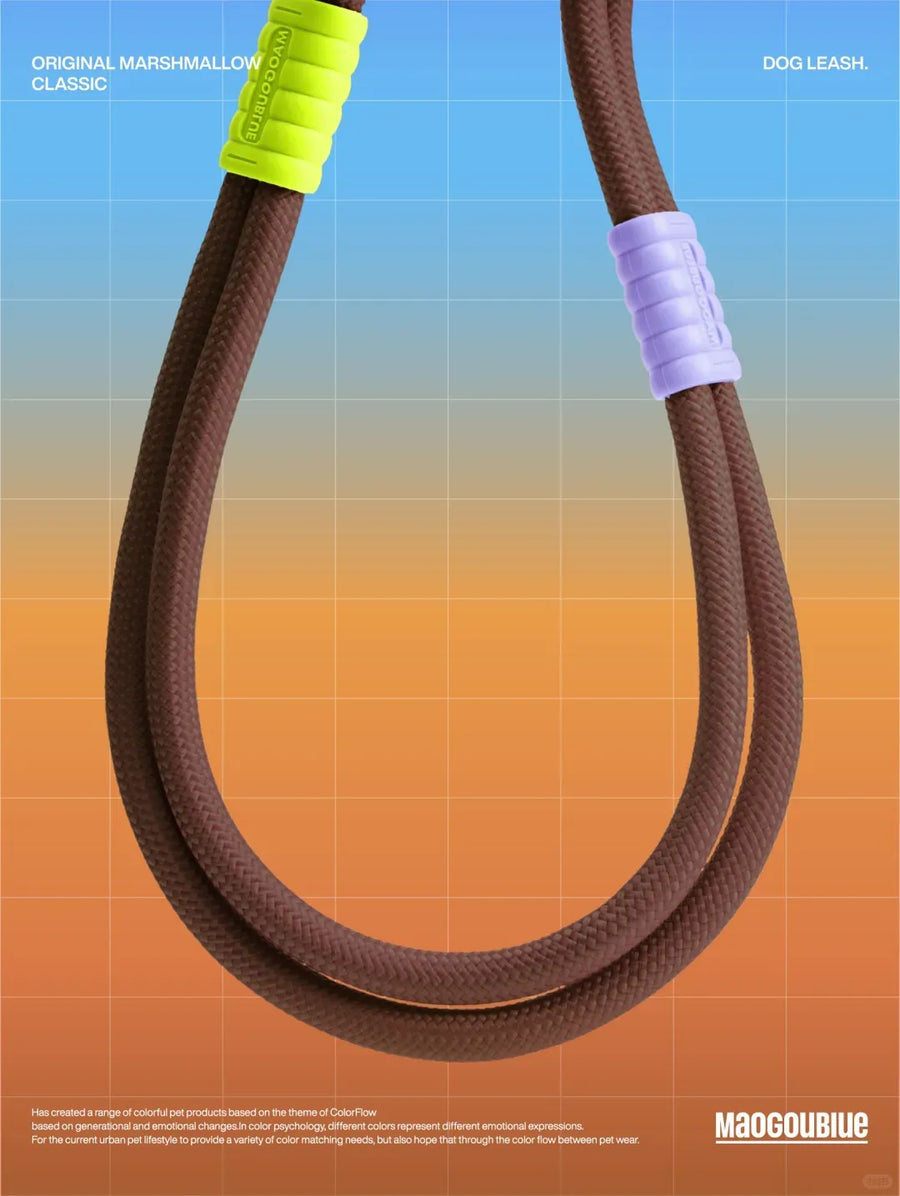 No-Pull Shock-Absorbing Dog Leash