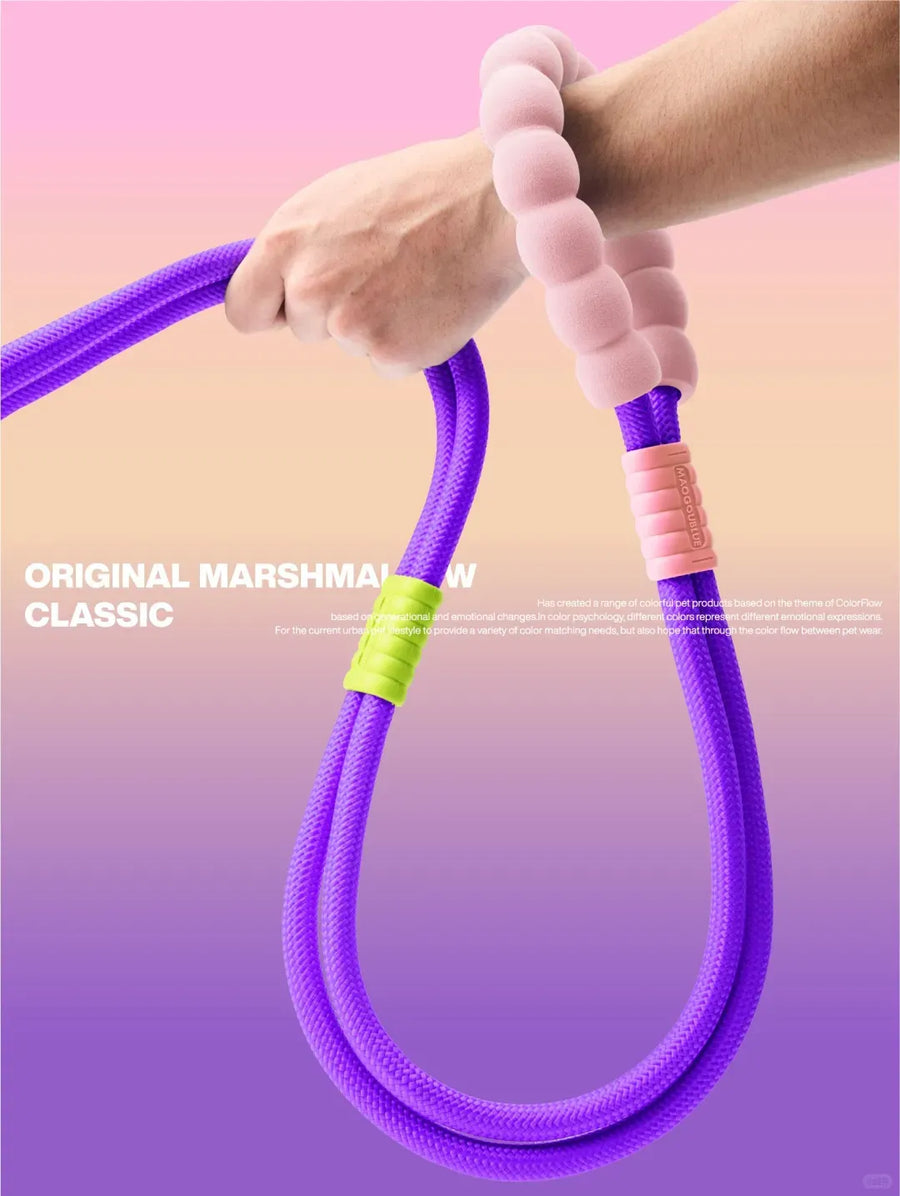 No-Pull Shock-Absorbing Dog Leash