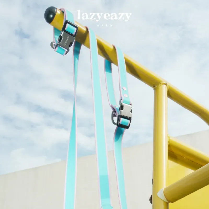 Adjustable Nylon Pet Collar & Leash Set