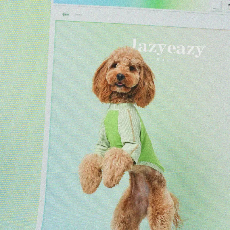 Striped Patchwork Pet Base Layer