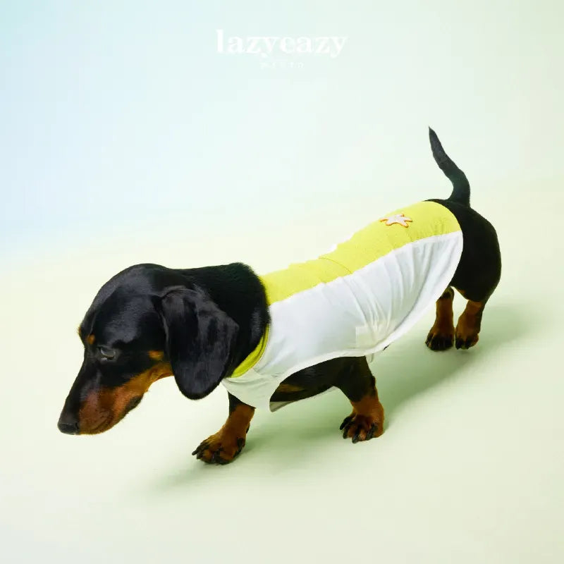 Cooling Color-Block Pet Vest