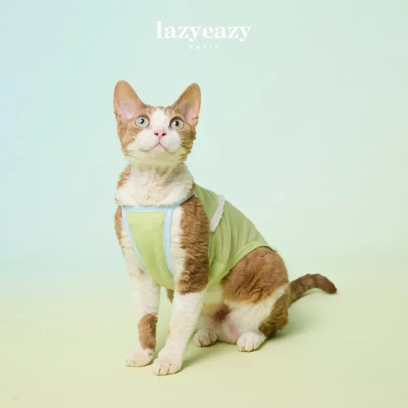 Summer Tassel Pet Camisole