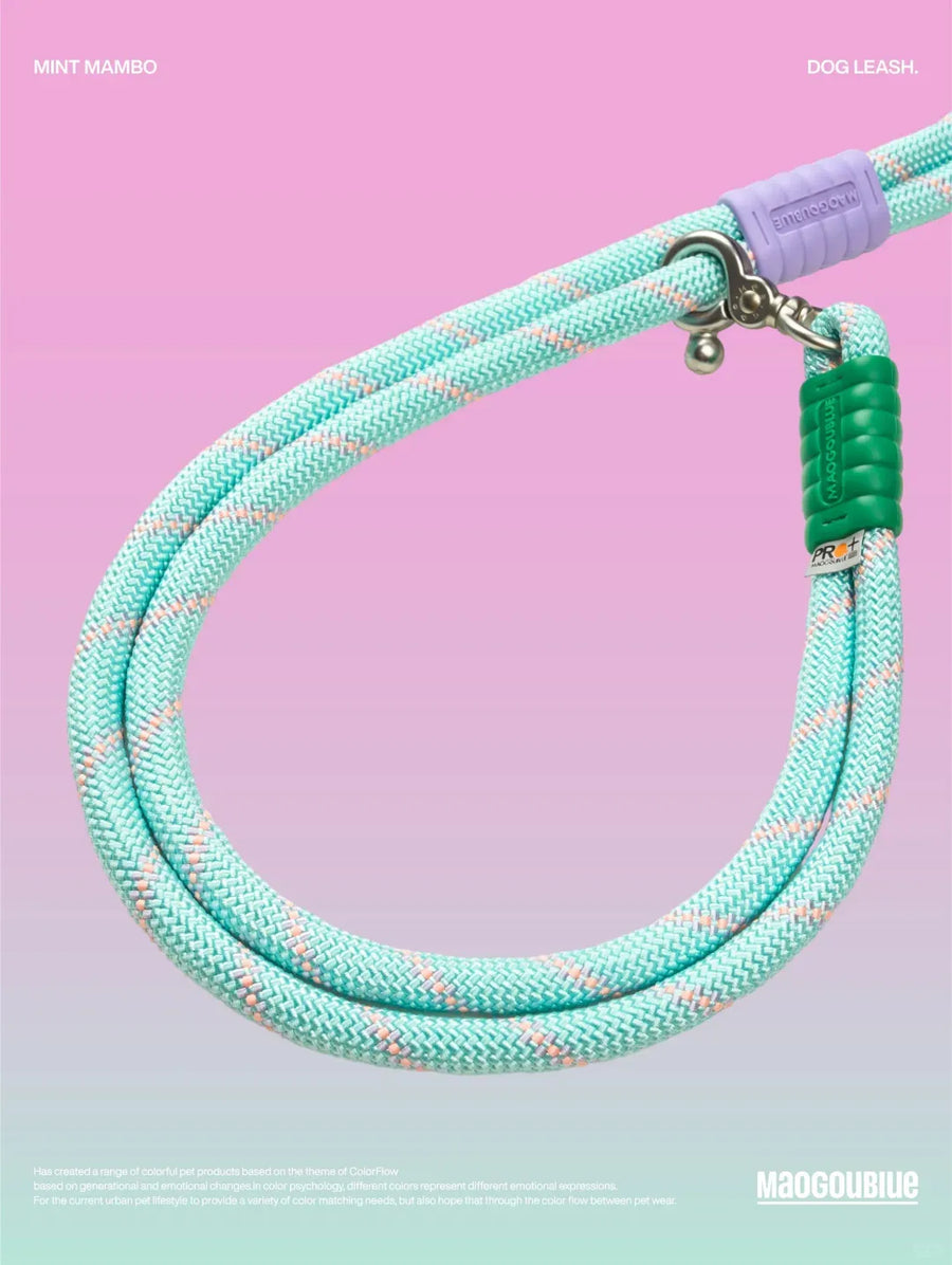 Reflective Large-Dog Leash