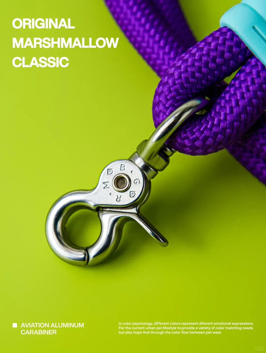 No-Pull Shock-Absorbing Dog Leash