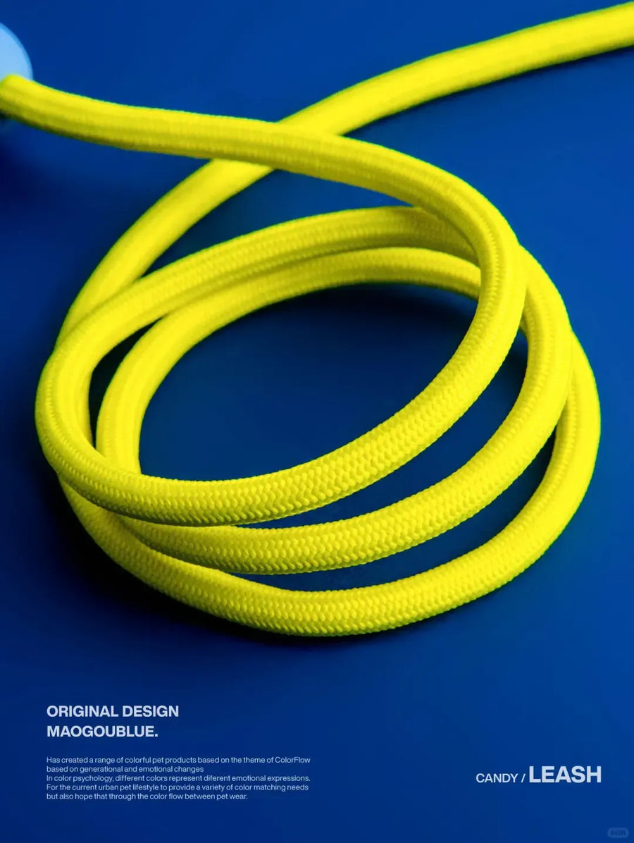 Durable Nylon Pet Leash