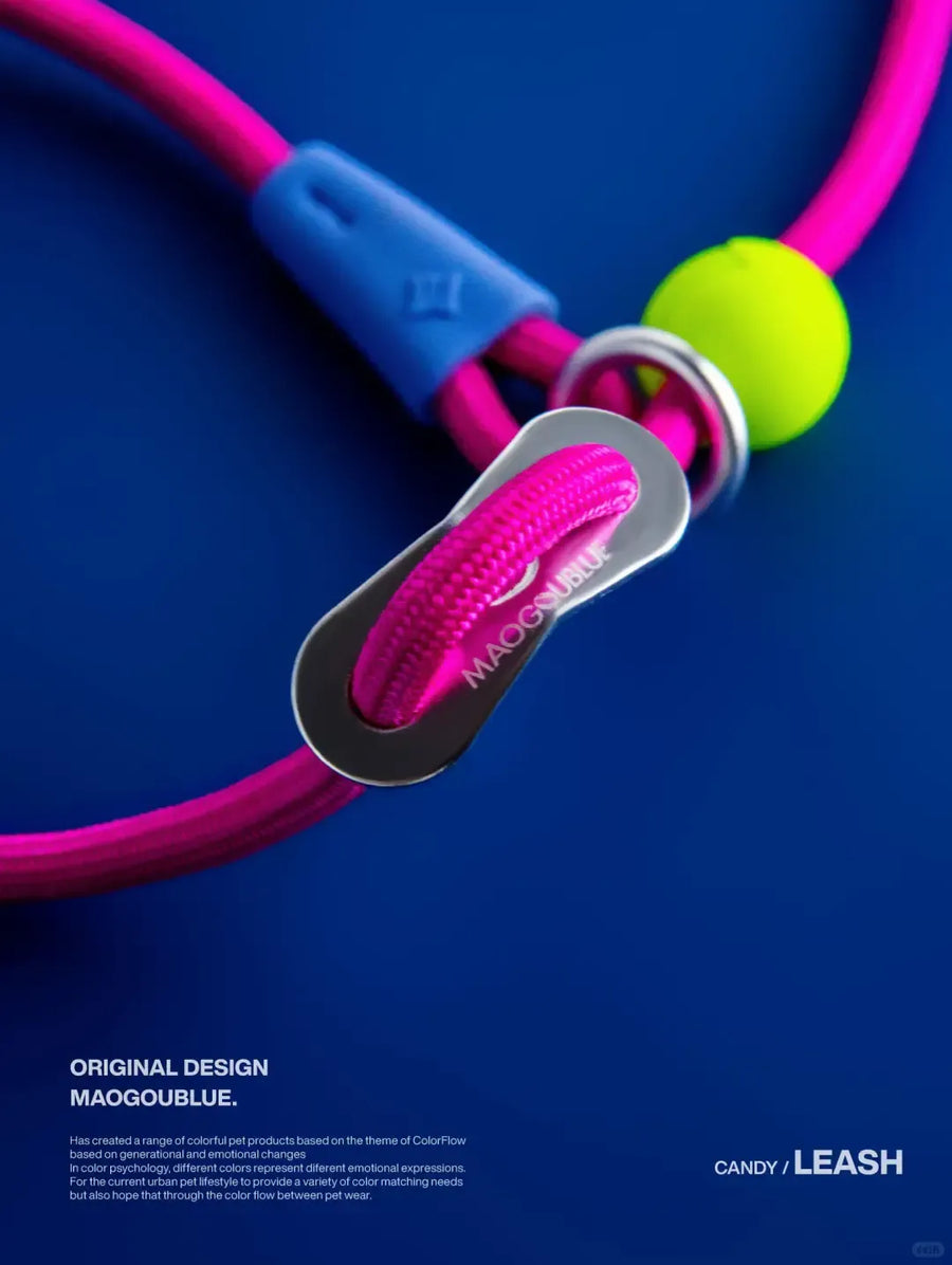 Durable Nylon Pet Leash