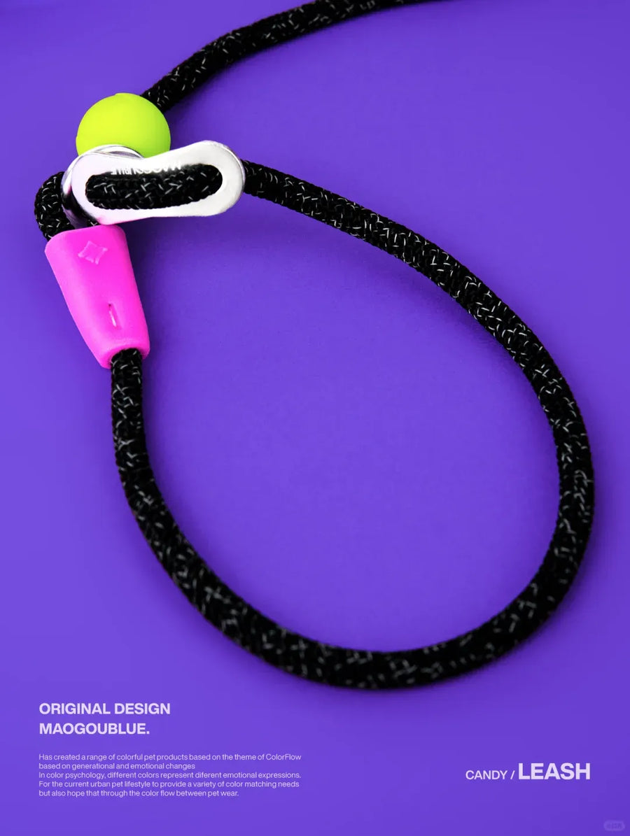 Durable Nylon Pet Leash