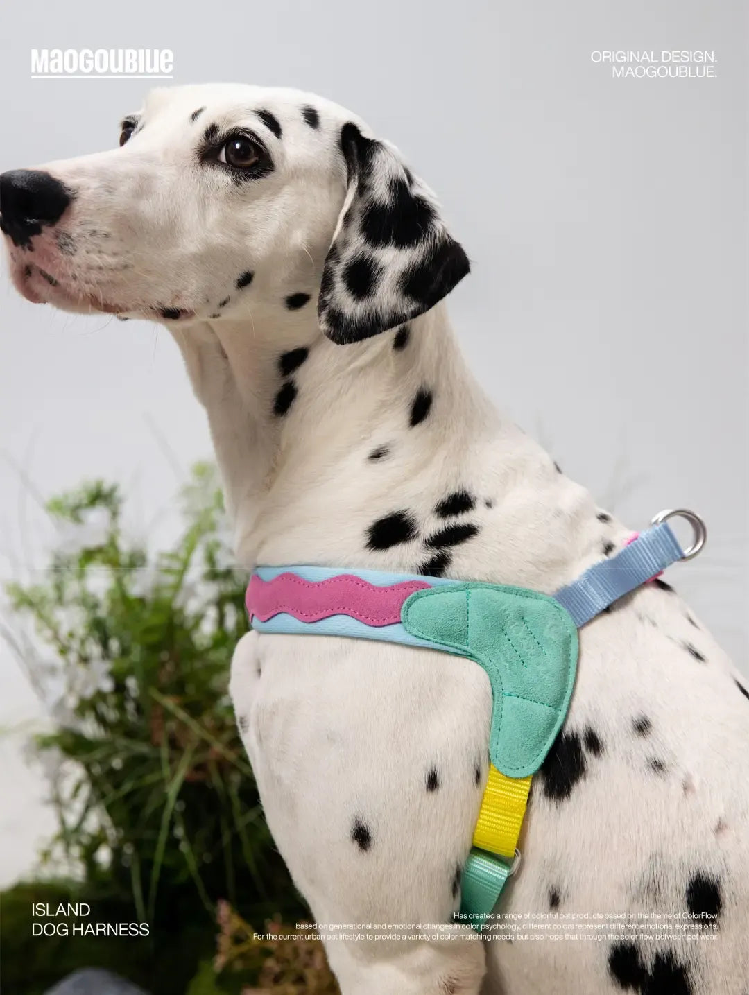 Adjustable No-Pull Escape-Proof Harness for Small & Medium Dogs