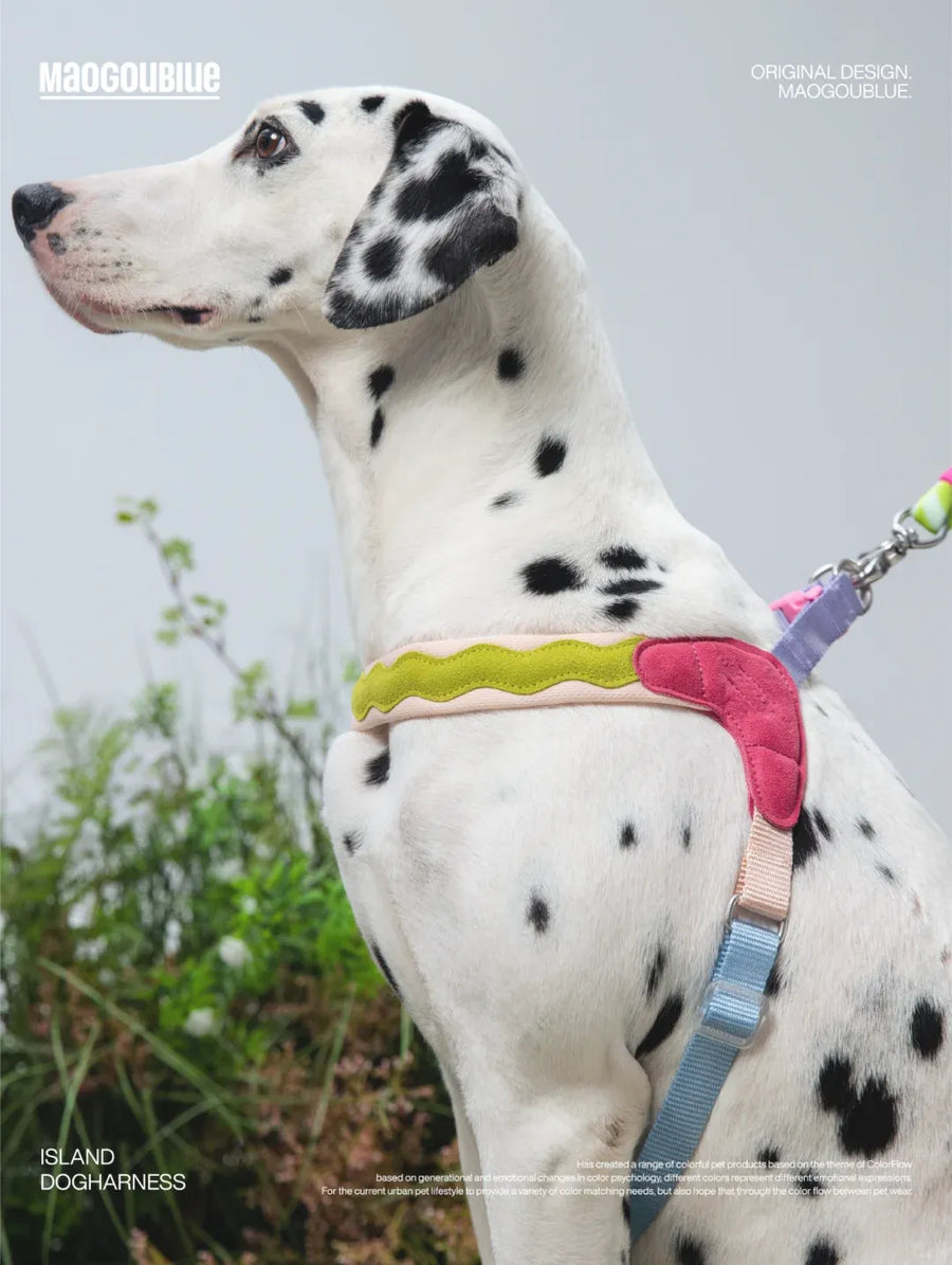 Adjustable No-Pull Escape-Proof Harness for Small & Medium Dogs