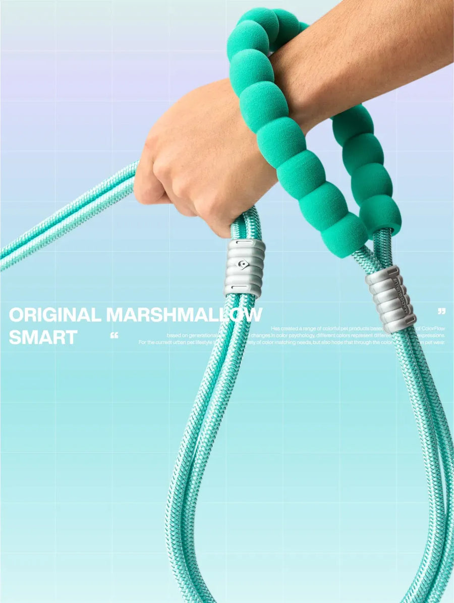 Reflective Large-Dog Leash