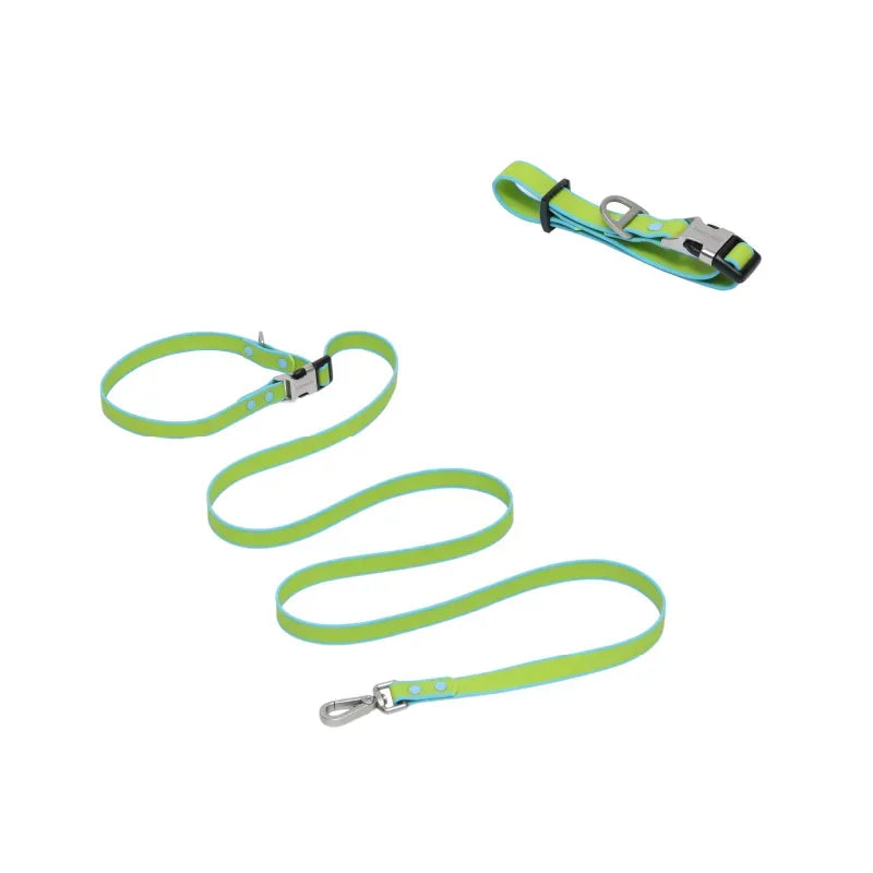 Adjustable Nylon Pet Collar & Leash Set