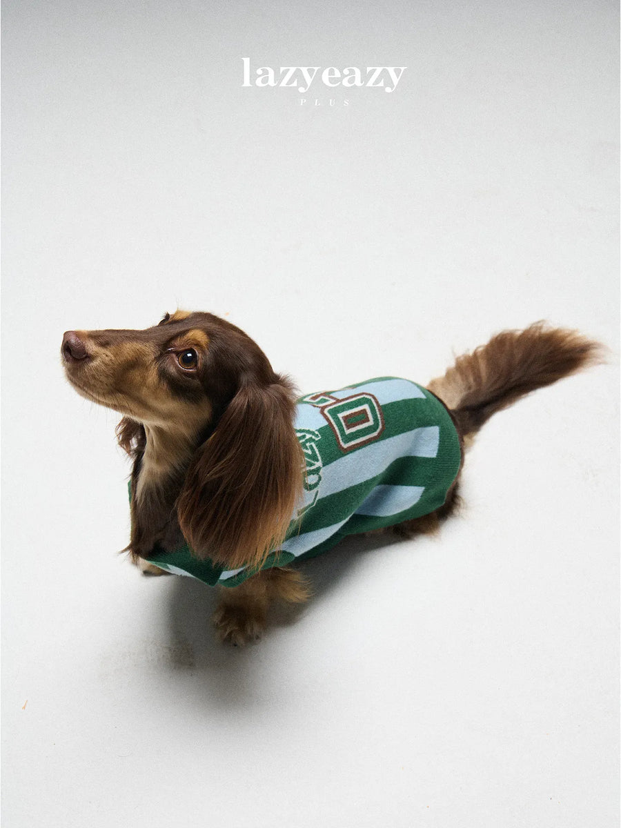 Striped Sports Knit Pet Sweater