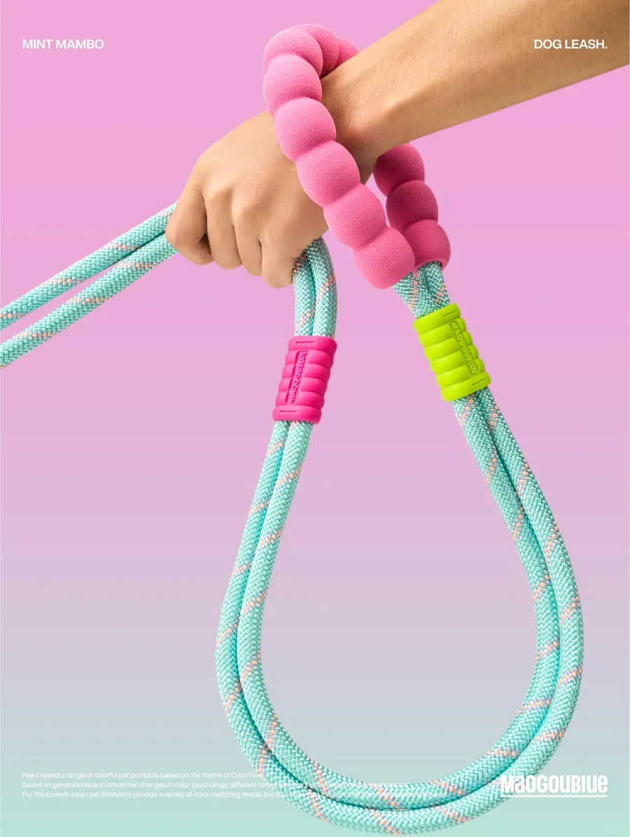 Reflective Large-Dog Leash