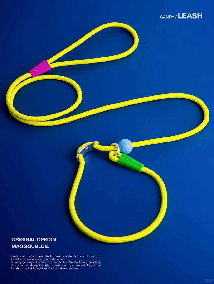 Durable Nylon Pet Leash