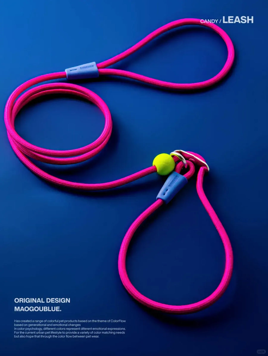 Durable Nylon Pet Leash