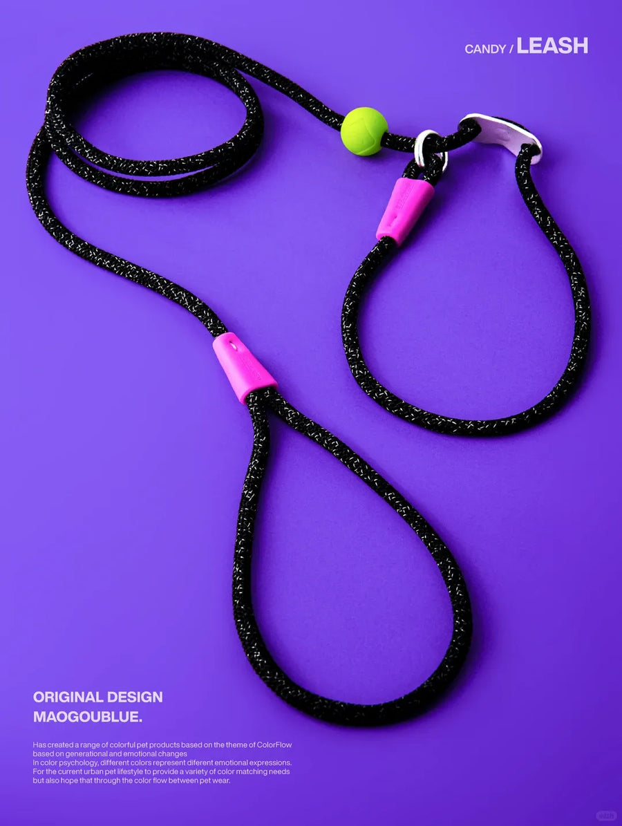 Durable Nylon Pet Leash