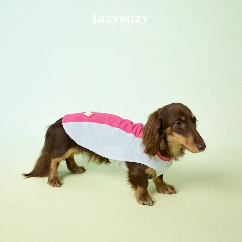Cooling Color-Block Pet Vest