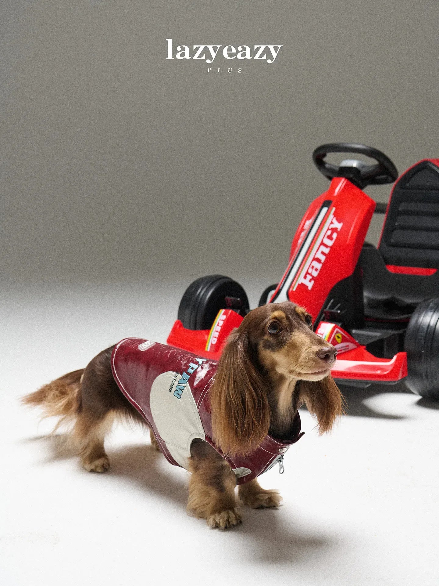 Racing-Style Embroidered Faux-Leather Pet Vest