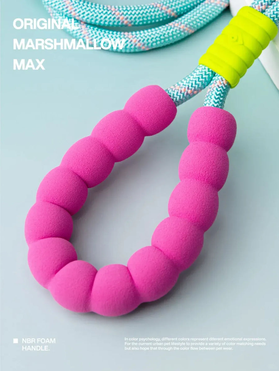 Reflective Large-Dog Leash