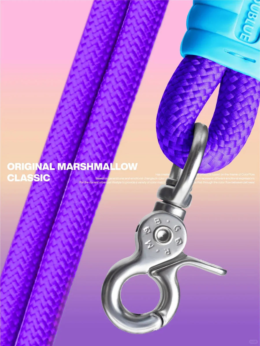 No-Pull Shock-Absorbing Dog Leash