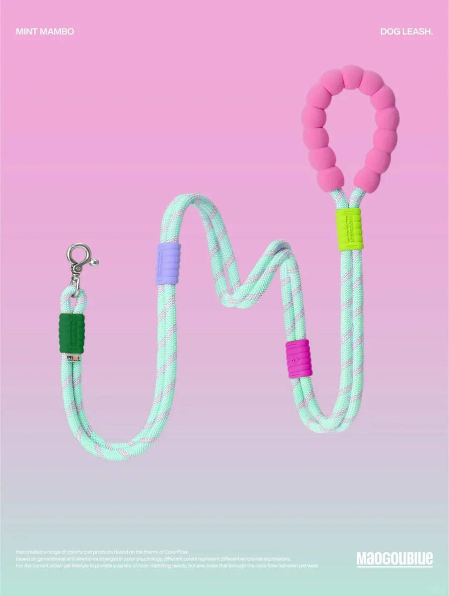 Reflective Large-Dog Leash