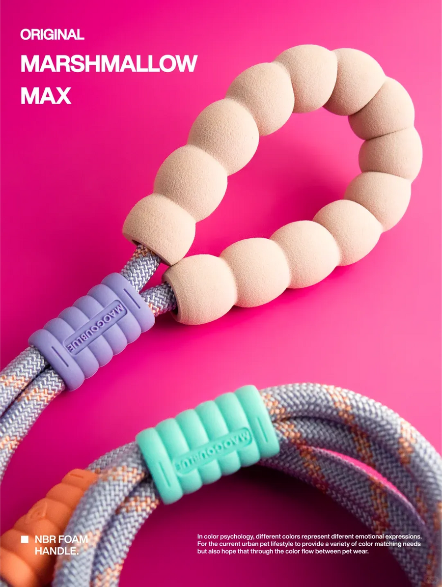 Reflective Large-Dog Leash