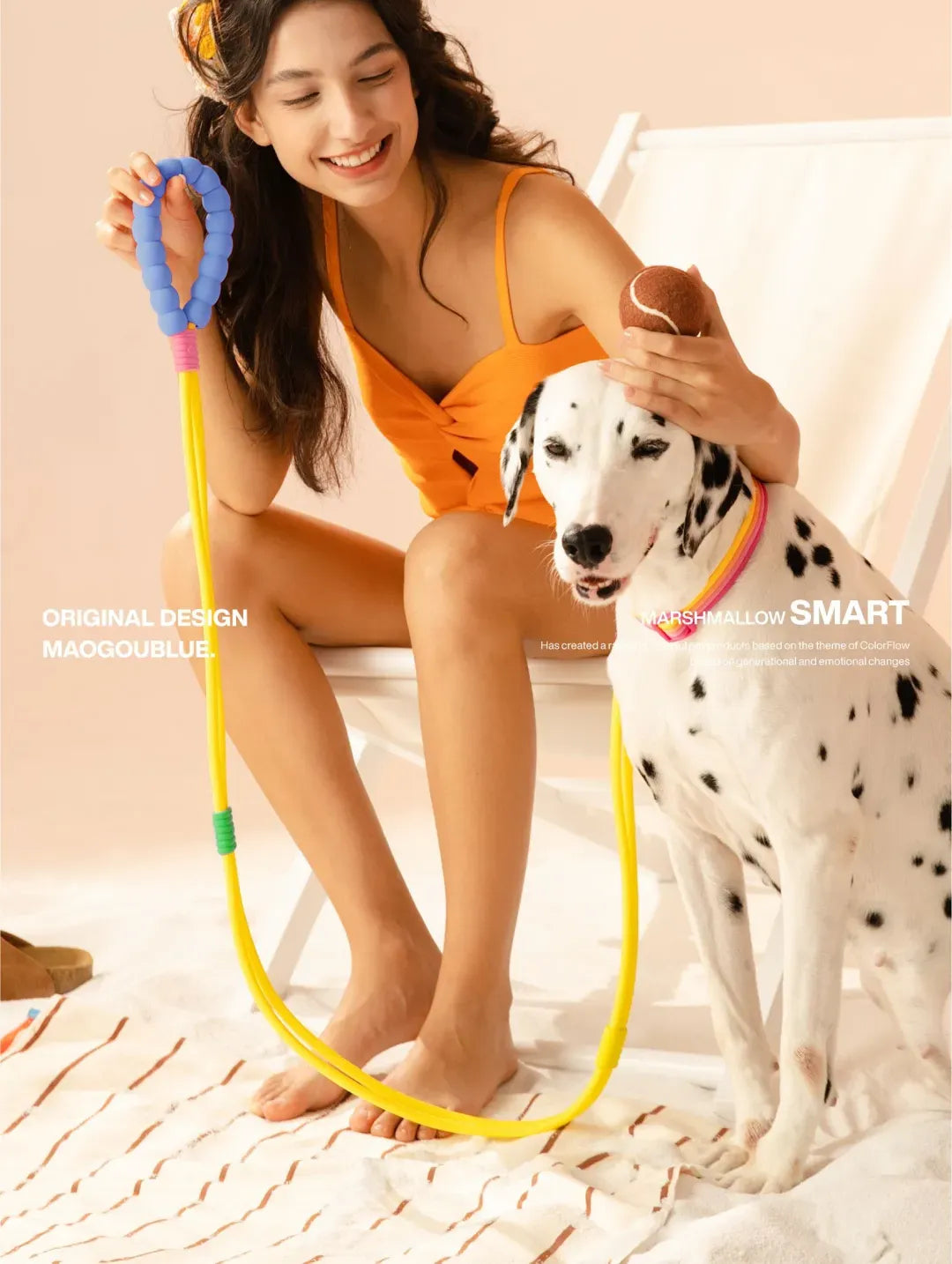 No-Pull Shock-Absorbing Dog Leash