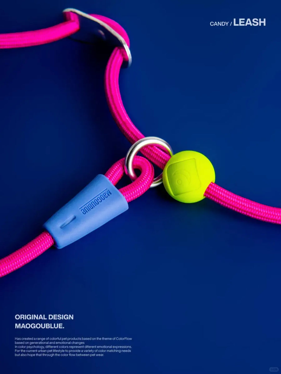 Durable Nylon Pet Leash