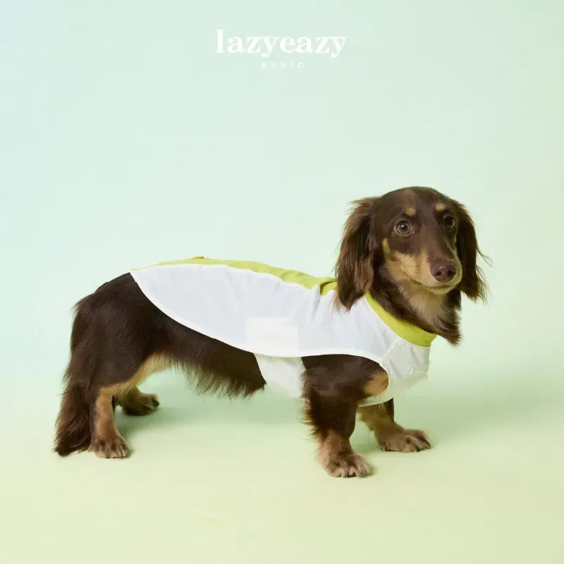 Cooling Color-Block Pet Vest