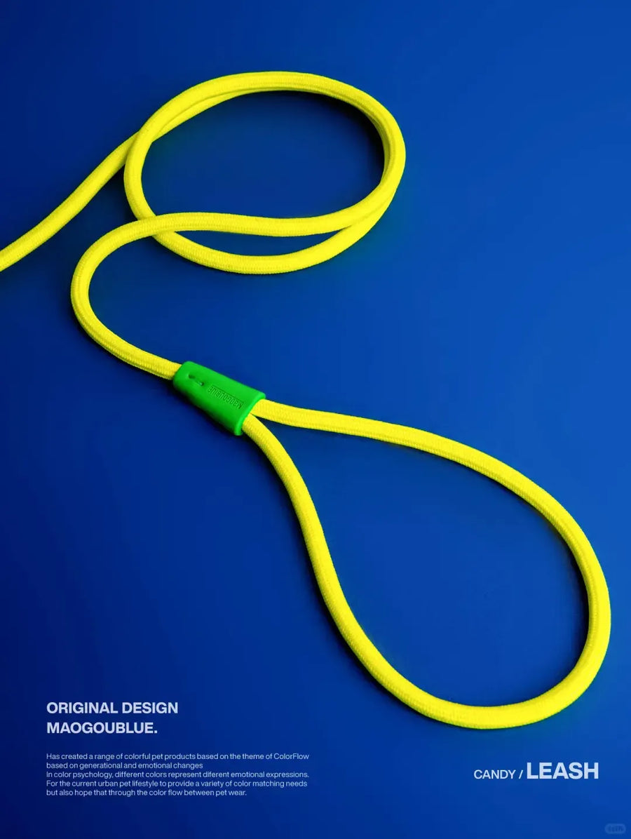 Durable Nylon Pet Leash