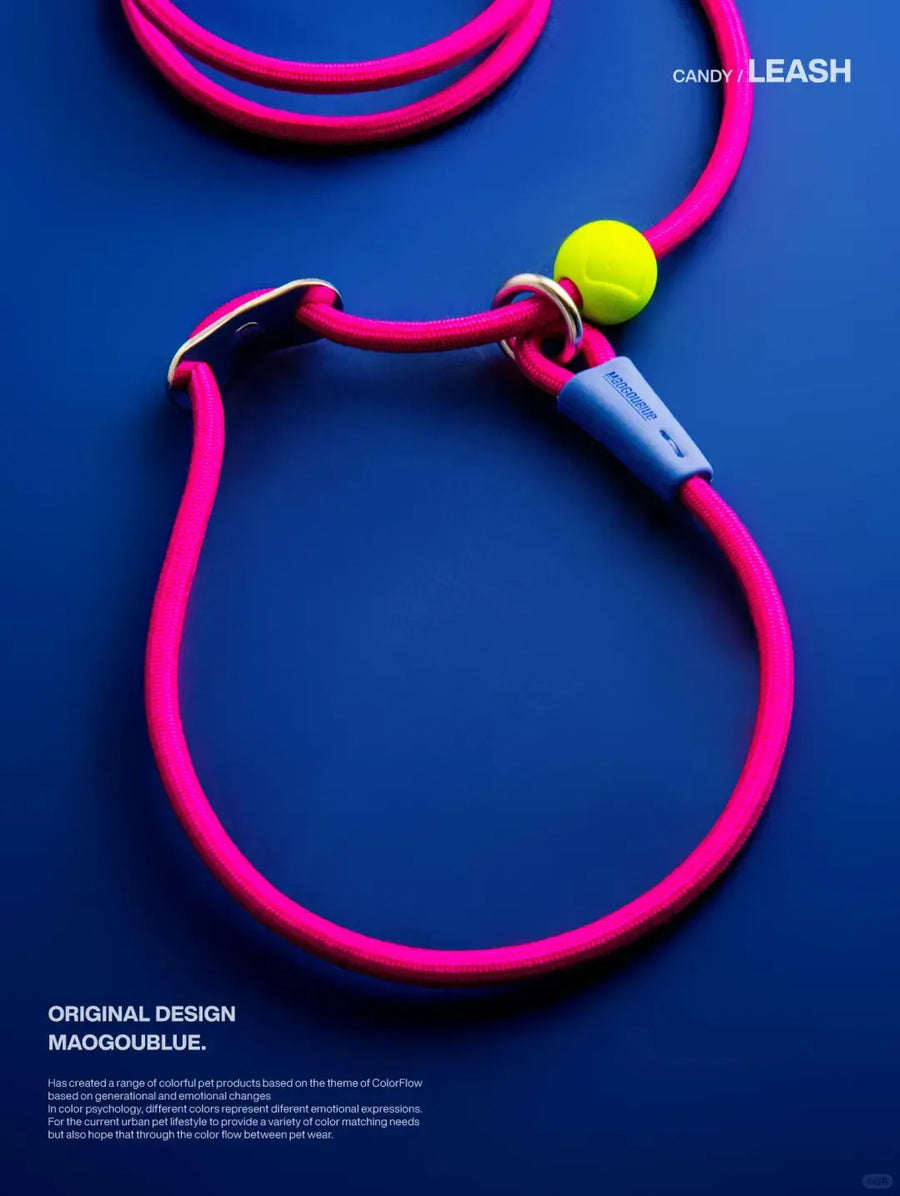 Durable Nylon Pet Leash