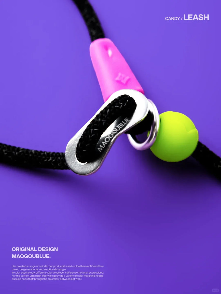 Durable Nylon Pet Leash