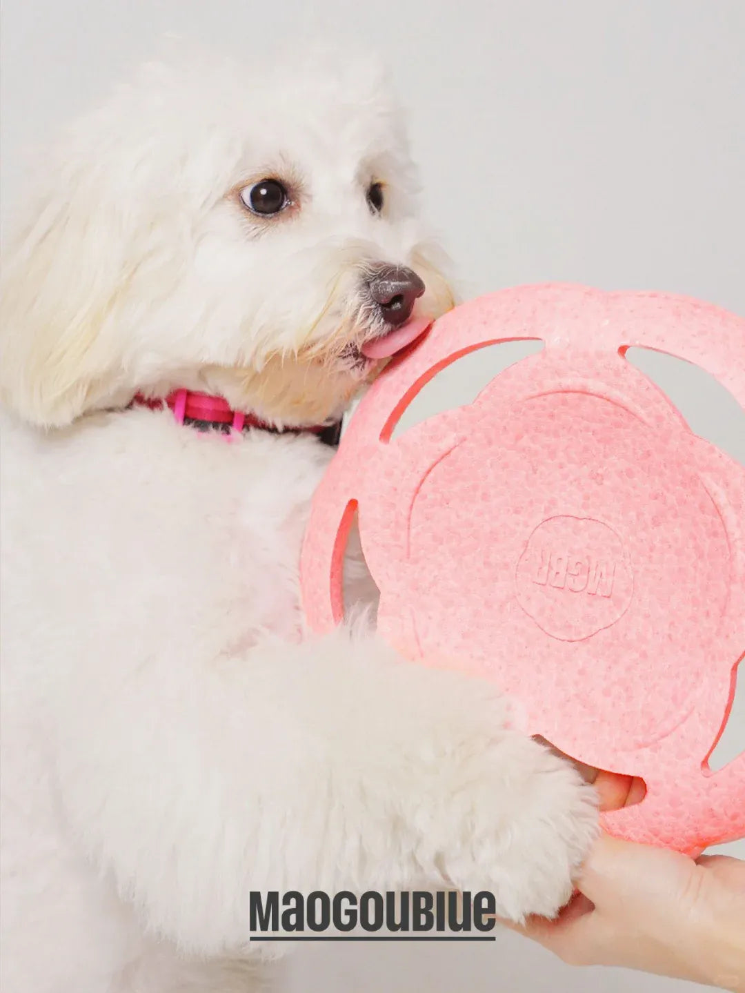 Pet Flying Disc