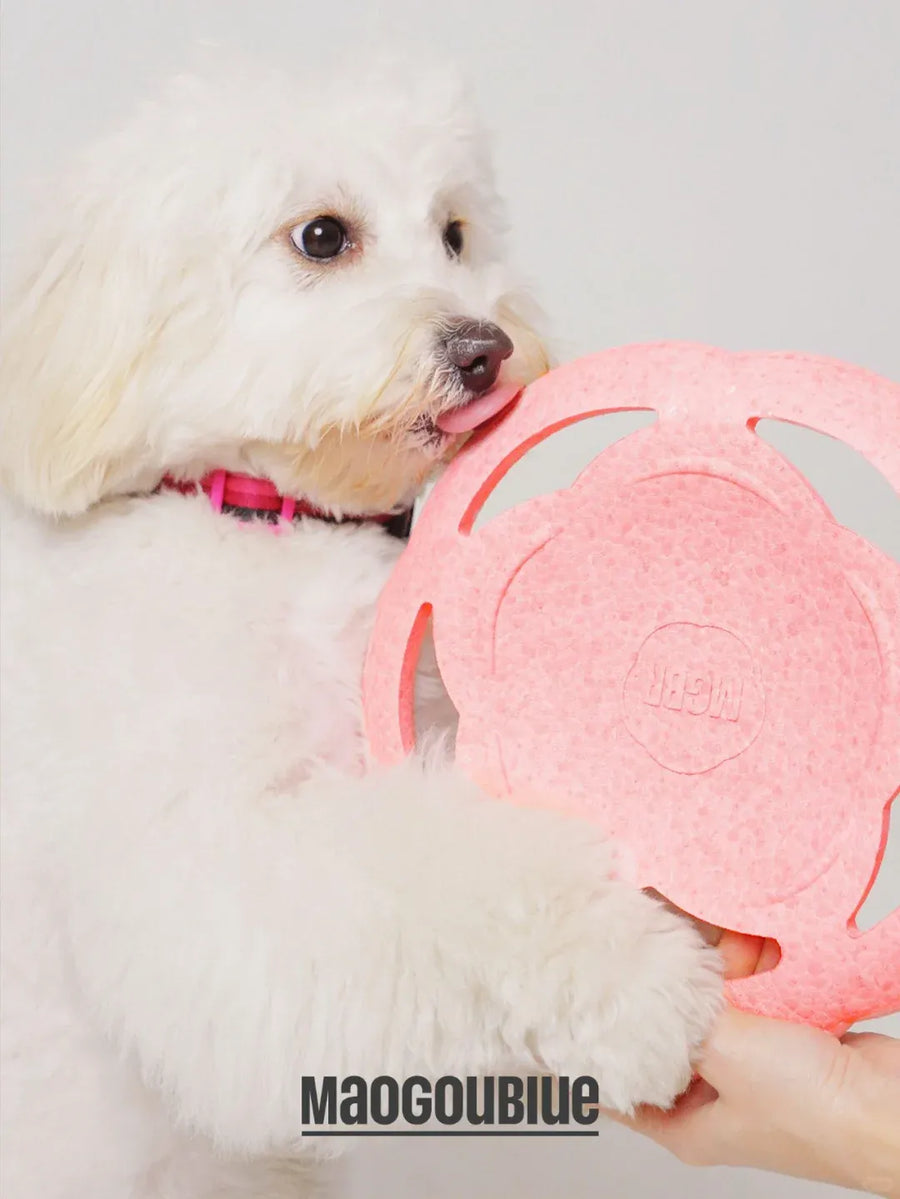 Pet Flying Disc